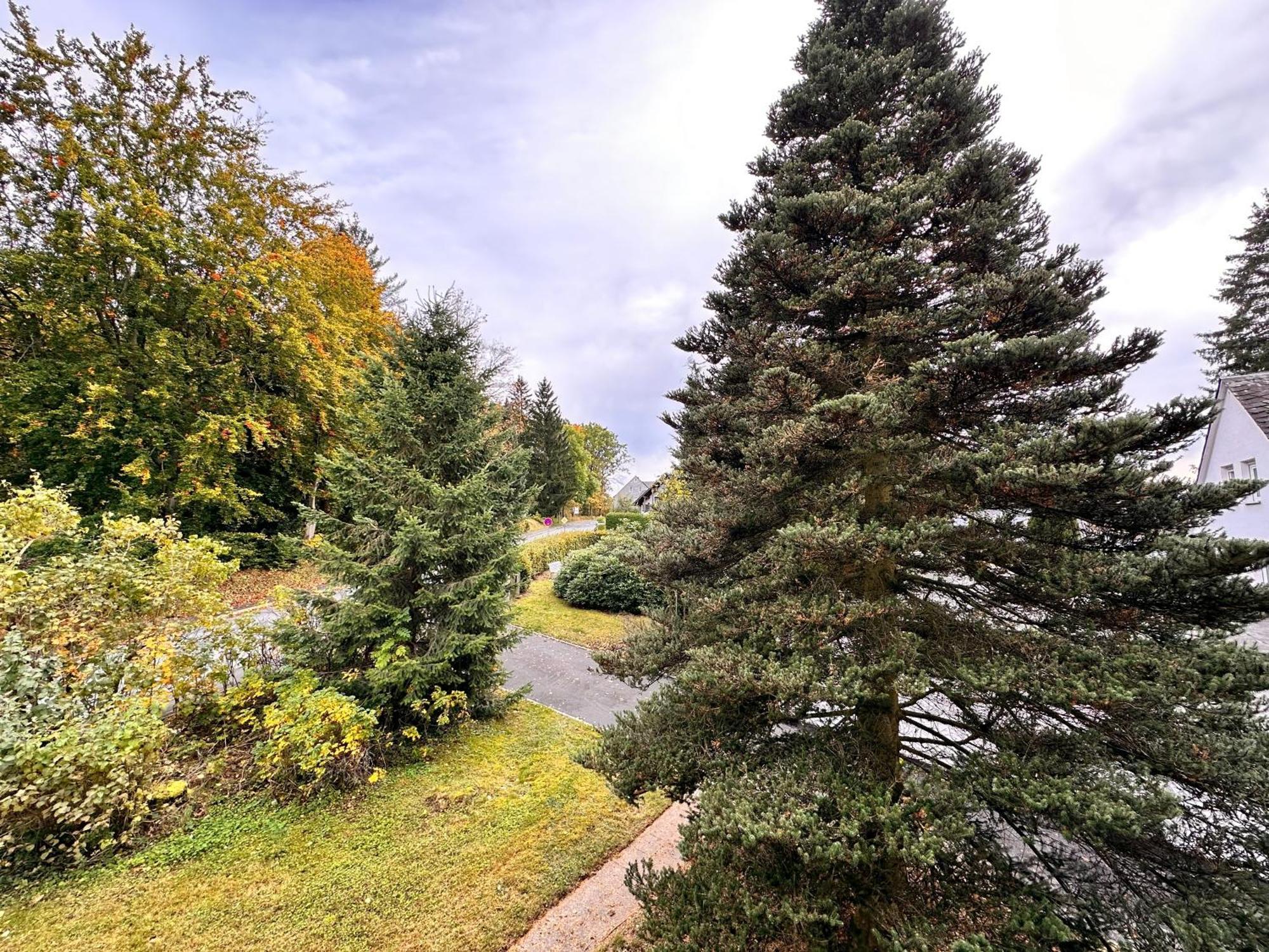 Pension Zum Loewen, Parkplatz, Fruehstueck, Wlan, Zentral バート・シュテーベン エクステリア 写真